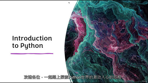 30 天精通 Python 编程