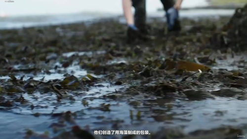 企业有意识消费:ESG与循环经济实战课 (英文课程中文字幕)