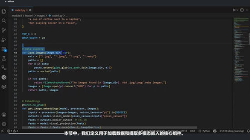 深度学习进阶架构:从理论到实践的系统指南 (英文课程中文字幕)