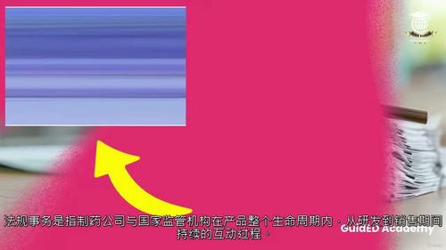 药品注册审批全流程解析