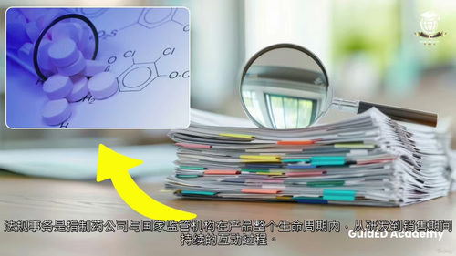 药品注册审批全流程解析