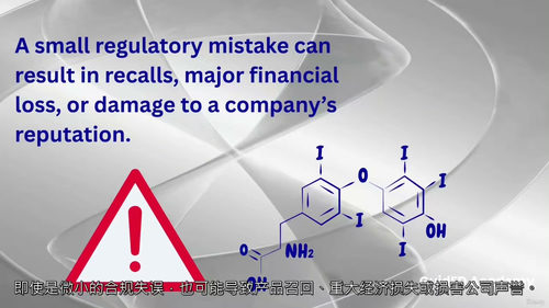 药品注册审批全流程解析