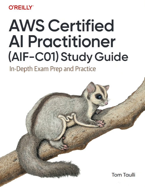 AWS 认证 AI 从业者（AIF-C01）学习指南：深度备
