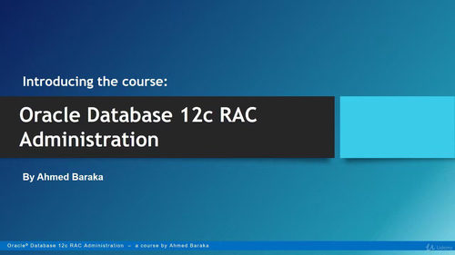 Oracle RAC 12c 19c 实