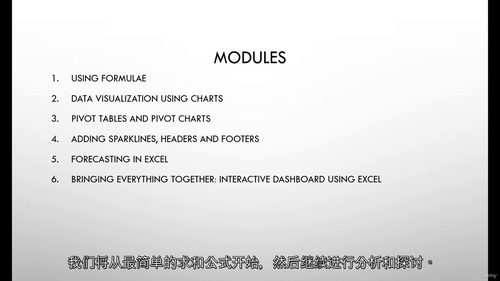 Excel 数据分析实战课程 (中文字幕英文视频教程)