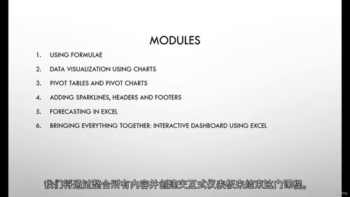 Excel 数据分析实战课程 (中文字幕英文视频教程)