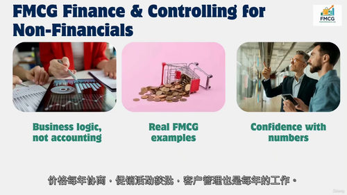 快消品非财务人员财务与管控实务(英文视频中文外挂字幕教程)