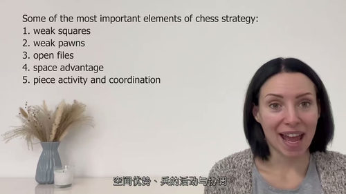 国际象棋战略基础课程 (英文视频课程中文外挂字幕)