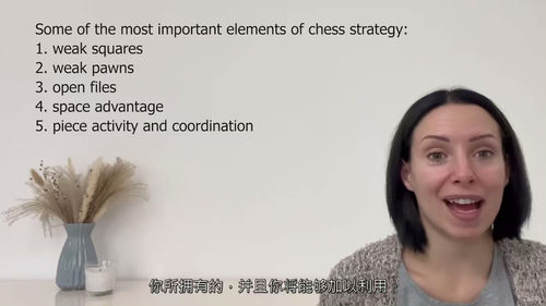 国际象棋战略基础课程 (英文视频课程中文外挂字幕)