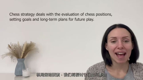 国际象棋战略基础课程 (英文视频课程中文外挂字幕)