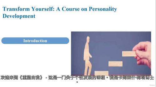 人格发展实战教程