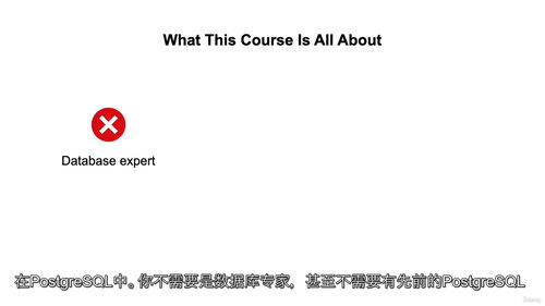 PostgreSQL从零到进阶教程