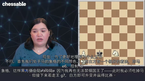 国际象棋残局逻辑精解 (英文视频课程中文外挂字幕)