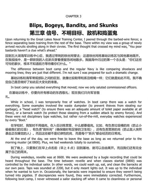 火力奏效：斯托达德号驱逐舰与越南战争的美军首炮 (中英双语电
