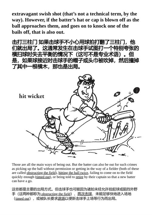 板球入门指南:解码这项优雅而神秘的全球运动 罗布·伊斯特威