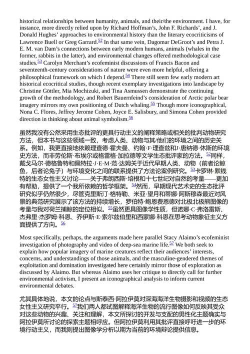 搁浅的鲸鱼：16世纪安特卫普的图像研究 瑞安·E·格雷格 （