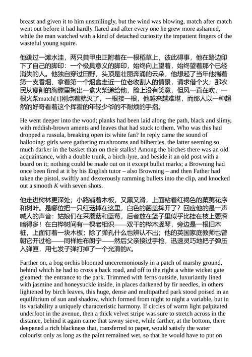 礼物 弗拉基米尔·纳博科夫 (英文电子书)