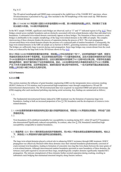 奥氏体合金的晶界工程：聚焦于3D表征的核材 (中英对照电子书)