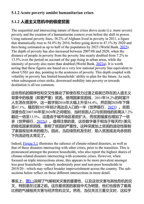 多重危机中的贫困:持久变革的动态路径 (中英对照电子书)