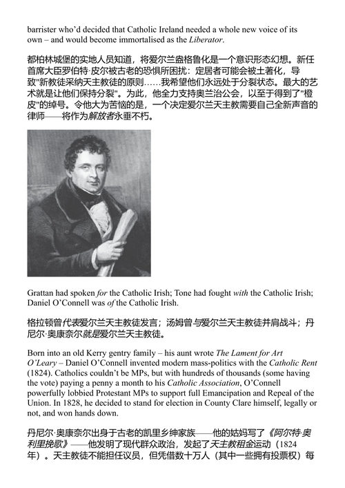 爱尔兰的最短历史 詹姆斯·霍伊斯 (中英对照电子书)