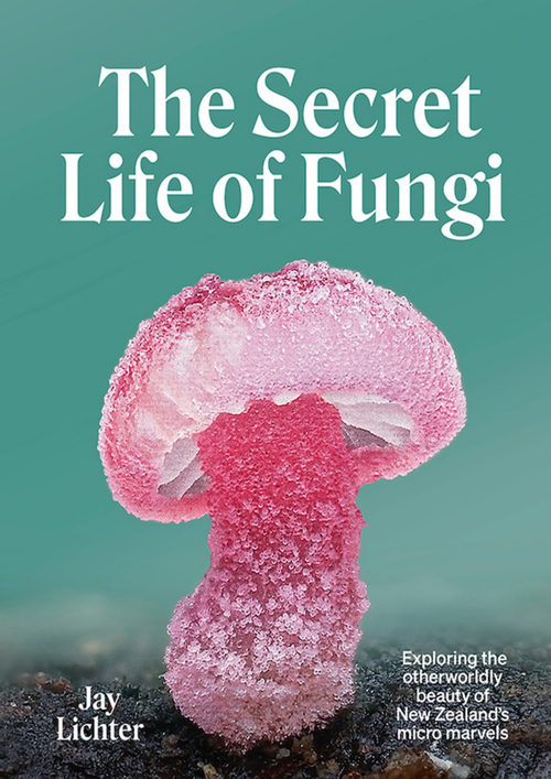 真菌的秘密生活 杰伊·利希特 (中英对照电子书)