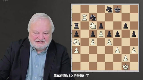 [中文配音]国际象棋基础三：棋艺进阶