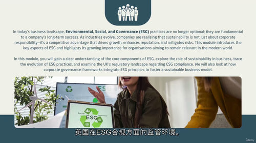 ESG英文视频教程(中字)