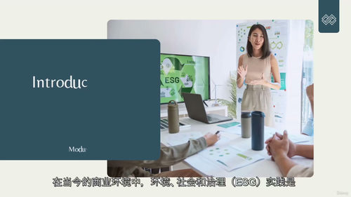 ESG英文视频教程（中字）