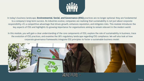 ESG英文视频教程(中字)