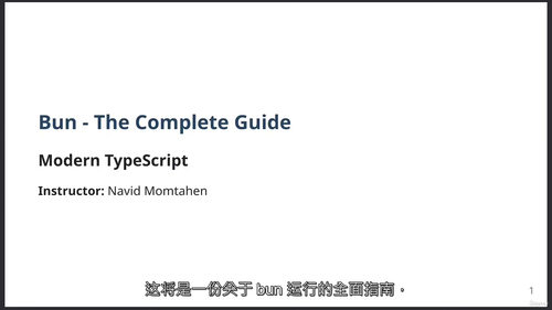 Bun全栈TypeScript JS开发完全指南 (中文字英
