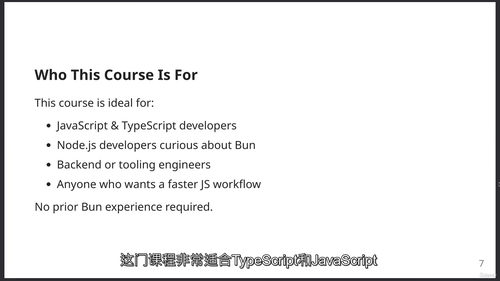 Bun全栈TypeScript JS开发完全指南 (中文字英
