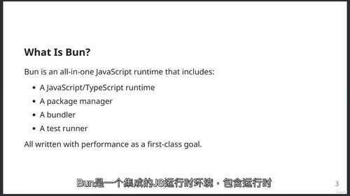 Bun全栈TypeScript JS开发完全指南 (中文字英