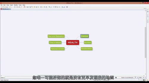 像天才一样梳理思路——思维导图与XMind实战教程（英文视频