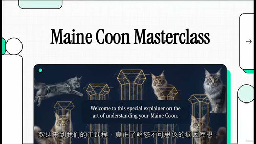 缅因猫大师课——巨型猫咪全方位养育指南 (英文视频中文外挂字