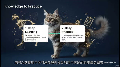 缅因猫大师课——巨型猫咪全方位养育指南 (英文视频中文外挂字