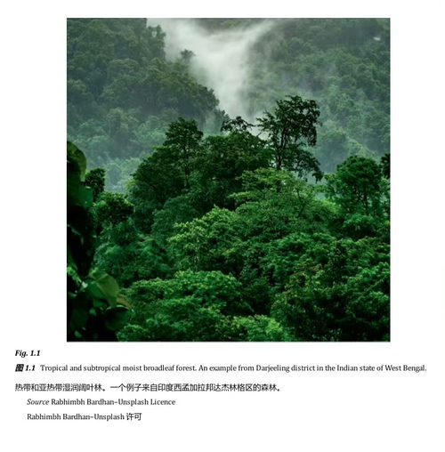 保护生物地理学与森林管理：探索人与自然互动的复杂性 (中英双
