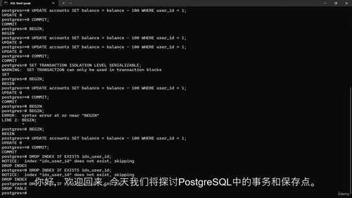 PostgreSQL数据库管理教程