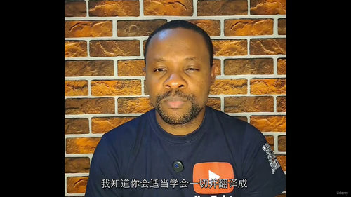 商业实战文案写作教程 (中文字英文视频教程)