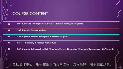 2026 SAP Signavio 全能精通实战班——完整指