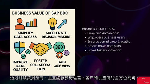 SAP BDC基础视频教程