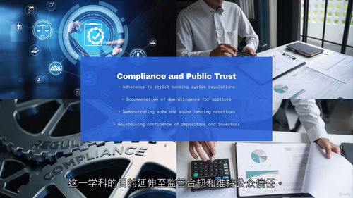 信用分析:从基础到授信审批 (中文字英文视频教程)