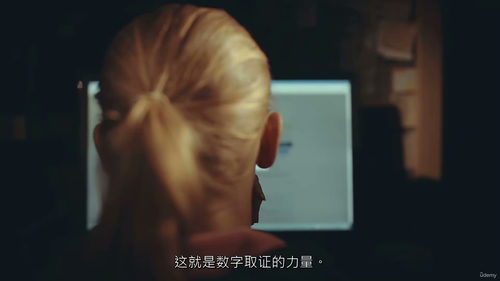 数字取证基础精通 (中文字幕英文视频教程)