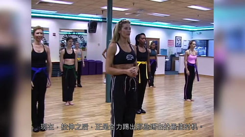 空手道健身训练教程 - 适合所有人 (中文字英文视频教程)