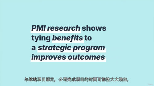 项目集管理实战指南