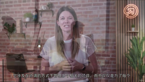 项目集管理实战指南