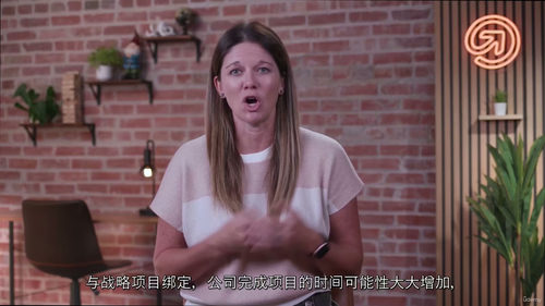 项目集管理实战指南