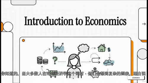 经济学基础101视频教程