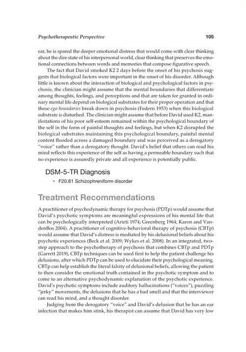 DSM-5-TR®儿童心理健康案例与治疗指南 加瑟琳·A.加