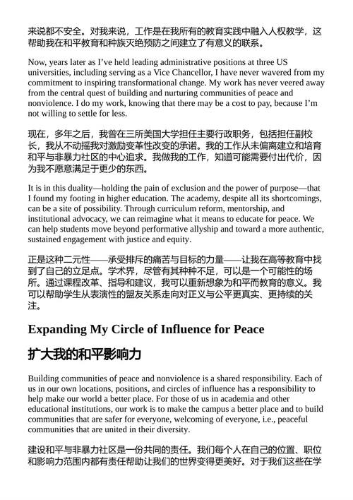 建设和平 赛义德·锡坎德尔·梅赫迪  马特·梅耶 （中英对照