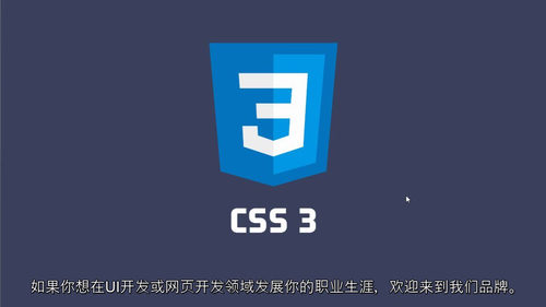 CSS3 大师课：从入门到精通完全指南（中文字幕英文视频教程